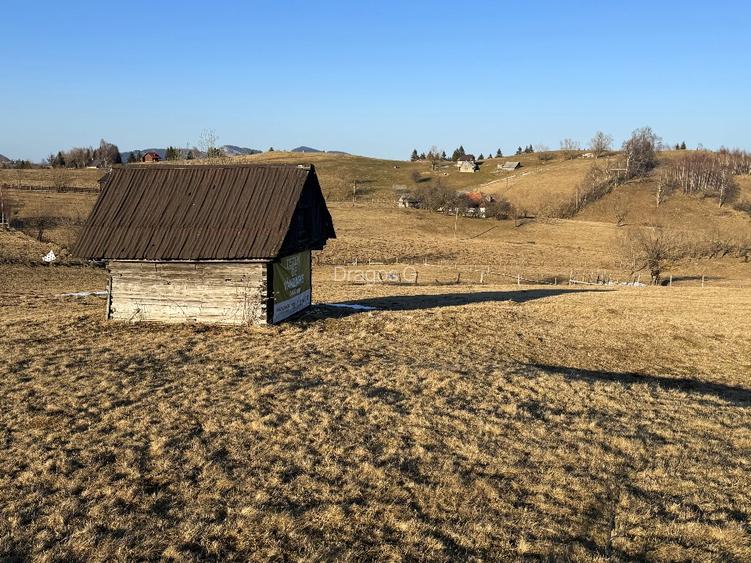 Teren satul Sirnea, intravilan, deschidere 120 m la drum asfaltat,  - 5