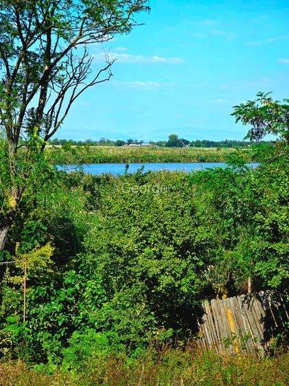 Casa de weekend lângă lac la o ora de Bucuresti - 4