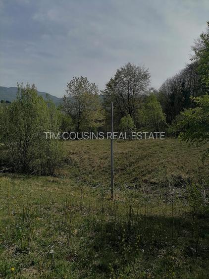 Vanzare teren exceptional, Valea Doftanei, Florei-Secaria, 22000mp, 250 000 euro - 8