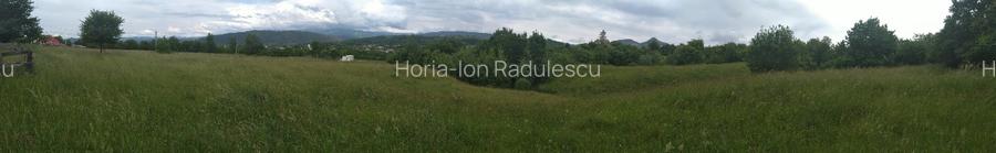 Teren intravilan de vanzare, pret usor negociabil - 3