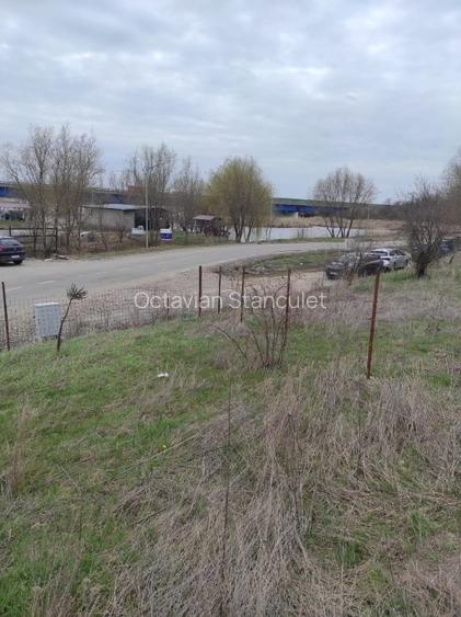 Teren de vanzare intravilan in Branesti IF - 3