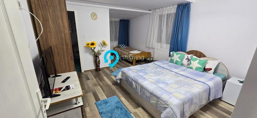 Casa de vacanta | Investitie | zona montana - padure | Arges | Leresti - 12