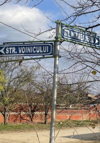 Teren 1800mp Intrarea Nefliu Magurele - 3