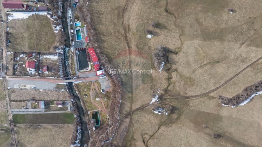 Teren Tohanul Nou 4500mp, in spate Wolf - 5