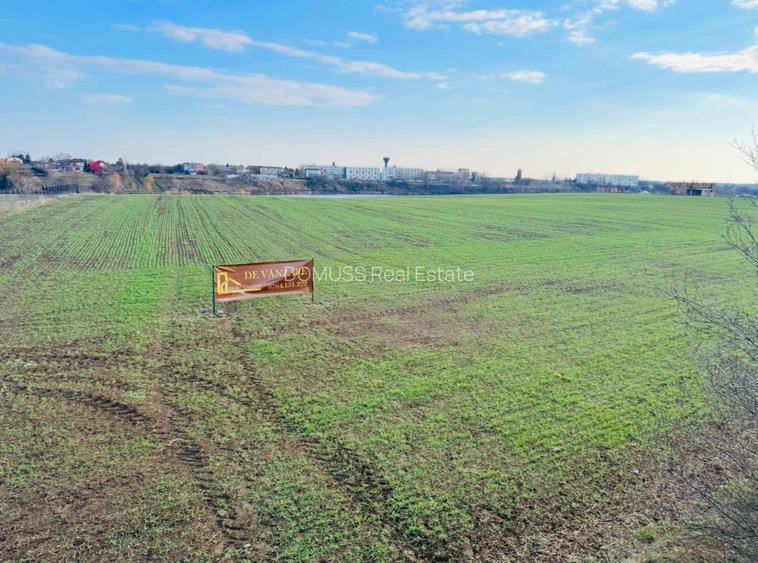 TEREN INTRAVILAN | BALOTESTI | DESCHIDERE 40 M LA LAC | 9.919 MP | LAHOVARI | - 3