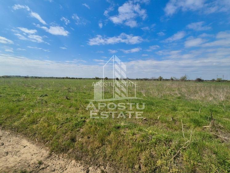 Teren intravilan de vânzare – Sânnicolau Mare, județul Timiș - 3