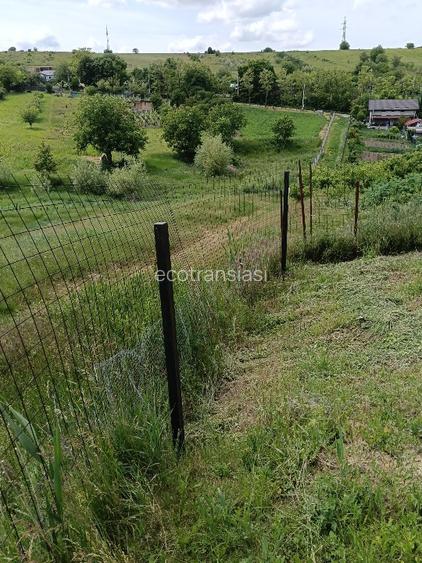 Teren intravilan Vorovești  - 3