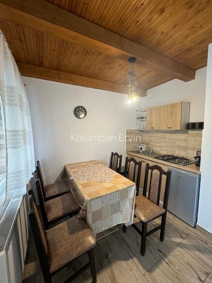 Casa de vacantā la Harghita -Sântimbru-Bāi - 6