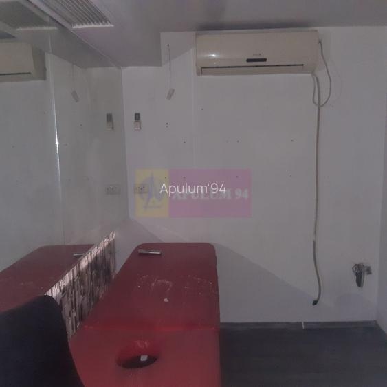 Spatiu Comercial Stradal Șoseaua Colentina zona Teiul Doamnei Suveica - 46