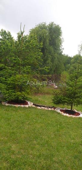 Cea mai frumoasă casă din zona Pipera - Băneasa - 51