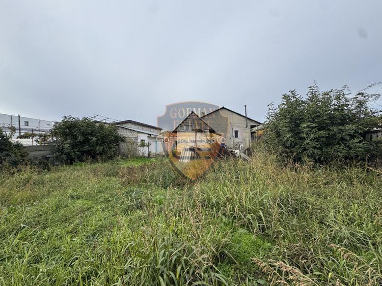 Casa 5 camere, PALAZU MARE,  204 mp cu teren 904 mp - 14