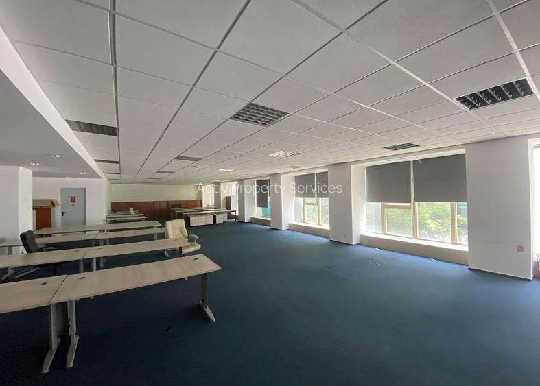 IPA, Calea Floreasca 169 - comision 0%, reprezentam proprietarul! - 9