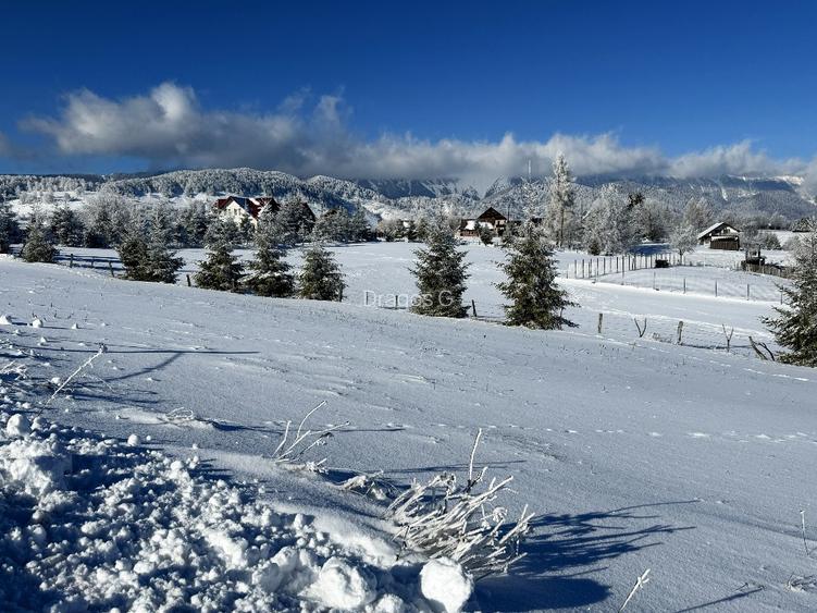 Teren satul Sirnea, intravilan, deschidere 120 m la drum asfaltat,  - 4