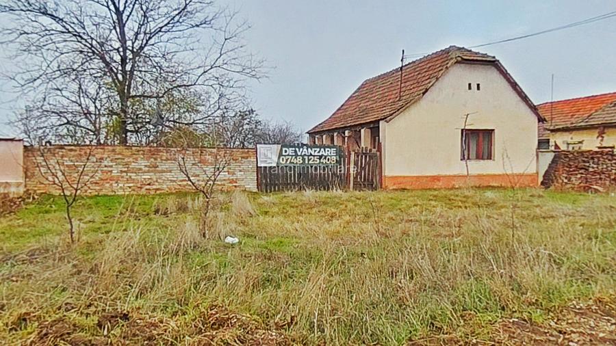 Casă cu potențial, teren generos de 1.440 mp – Secusigiu, Arad - 6