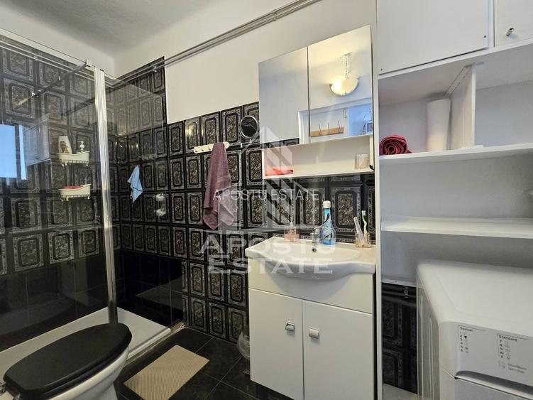 Casa individuala de vanzare, 4 camere, 2 garaje, Lipovei - 23