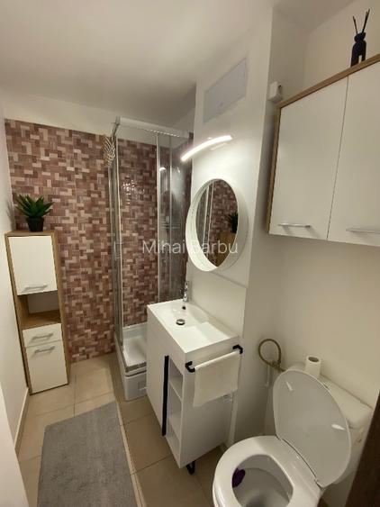 Garsoniera de inchiriat, Opanez, Lacul Tei - parcul Circului - 12