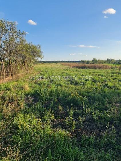 Teren intravilan Apateu 4100 mp - 7