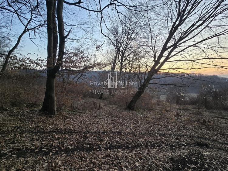 Teren extravilan 28.800 Mp , zona Rora, Sighisoara - 7