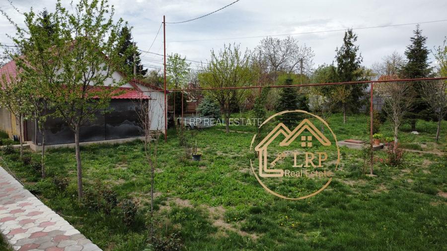 [DOMENIU PRIVAT] Vila deosebita in Inima Orasului Voluntari | Teren 2.500 mp | - 39