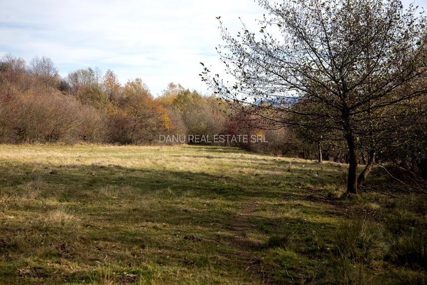 Teren intravilan 2500mp Tohanita Zarnesti- ideal casa de vacanta - 8