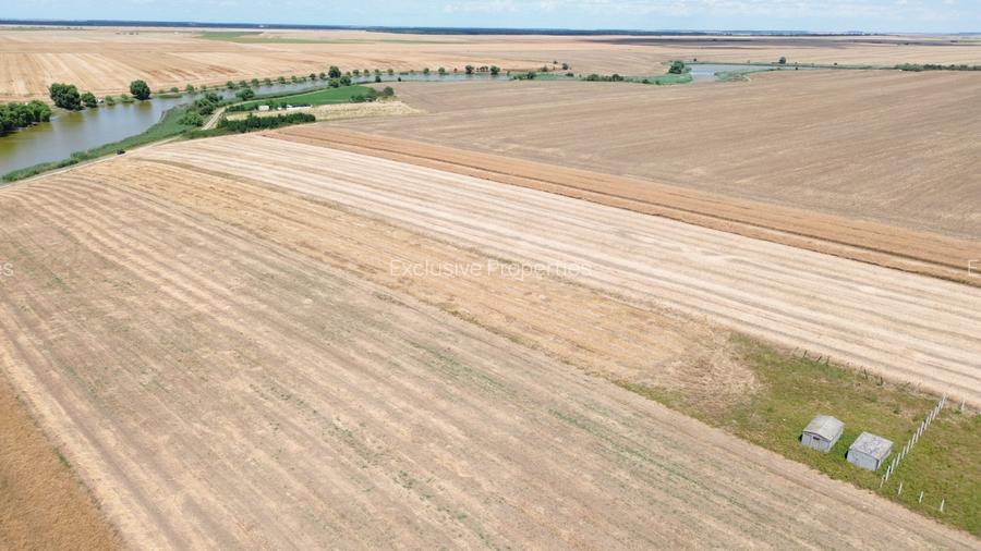 teren la lac Frumusani - 12