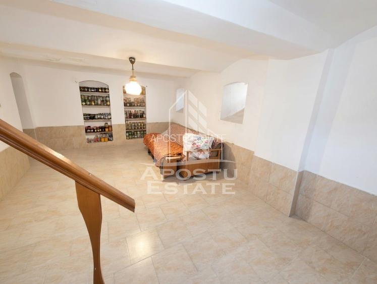 Casă spațioasă cu 2 locuințe și teren generos de 5.755 mp în Șandra - 11