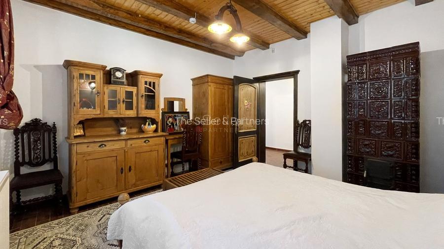 Complex de 3 case pe 18000 mp teren - 9