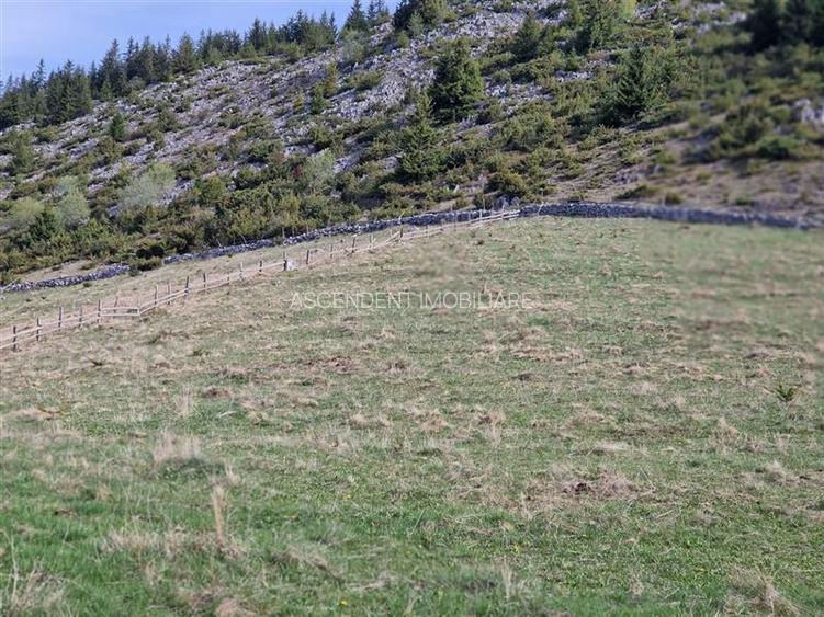 7.000 mp, pozitie spectaculoasa, fara vecini, Fundatica, Brasov - 7