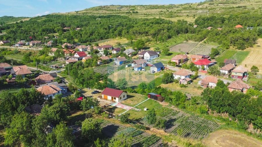 Casa cu teren de 3100 mp de vanzare in comuna Cornesti - 14