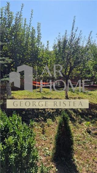 Vila  Provita de  Jos 380mp - 26