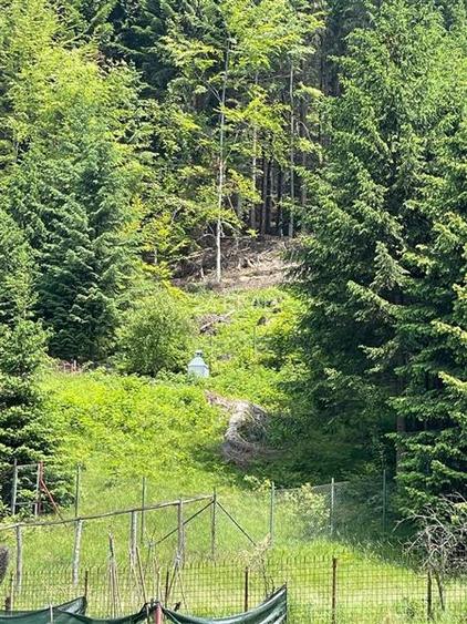 Teren de Vanzare in Timisul de Sus, Brasov - 3