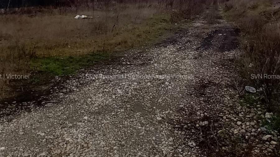 REL4001264 Teren Intravilan 11075 mp Otopeni Ilfov - 7