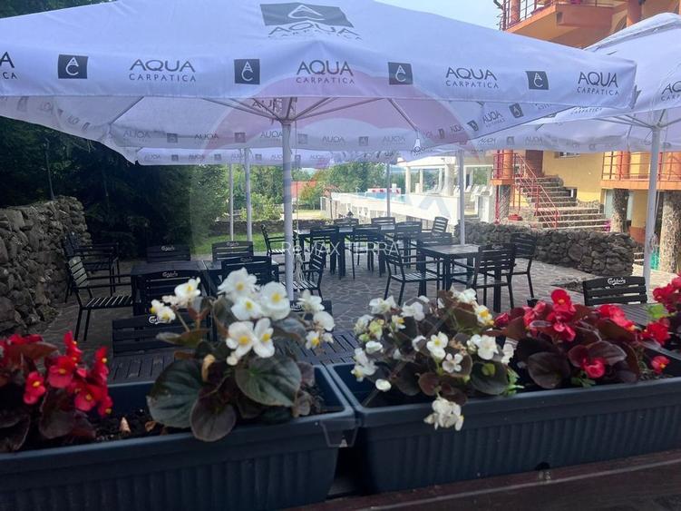 DE VANZARE Pensiune cu piscina, pastravarie, zona spa locatie de vis - 21