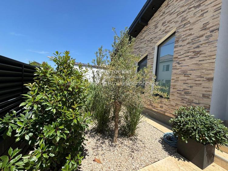 Casa cu palmieri din Corbeanca - 37