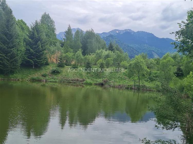 FILM! Oaza paradisiaca cu lac, vedere catre Bucegi, Glajerie/ Rasnov, pretabil C - 21