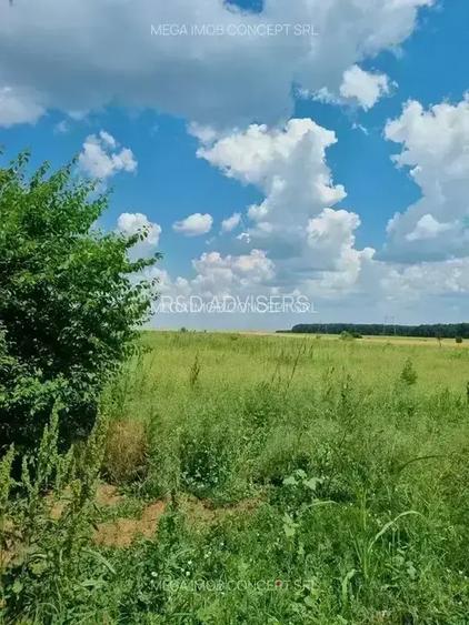 11 Loturi Teren Intravilan 430 mp lot Acces Rapid A2 Ideal Dezvoltare - 7