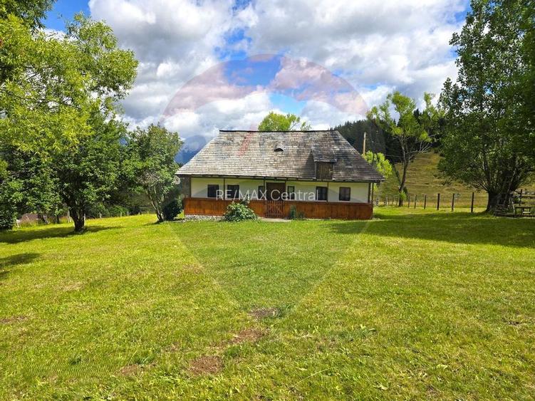 Teren de vis în Fundata 1934mp sau 3868mp, la înălțimea sufletului tău - 21