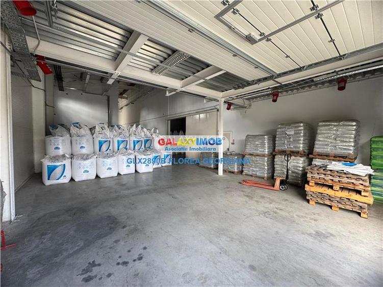 Vanzare spatiu industrial Crevedia - 11