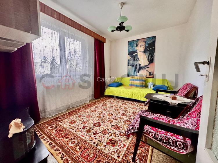 Luminos, etaj intermediar, poziționare excelentă, Mănăștur - 4