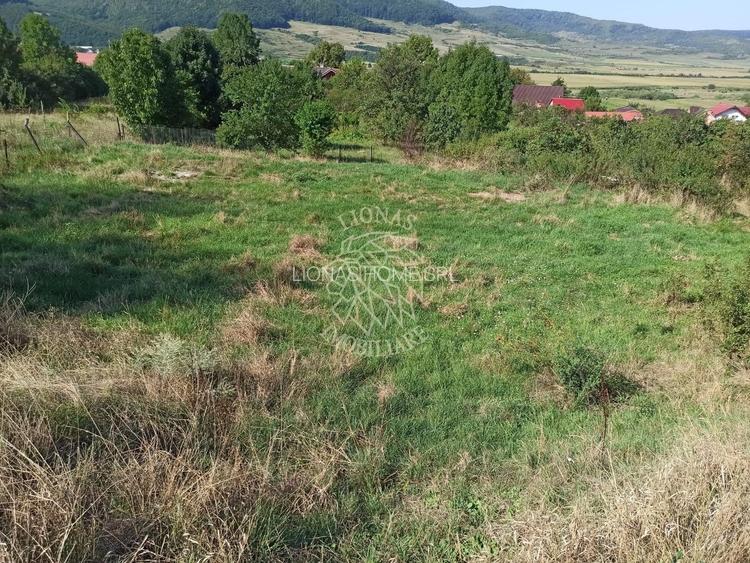 Teren intravilan 1400 mp cu utilitati la DN 17- Crainimat - 2