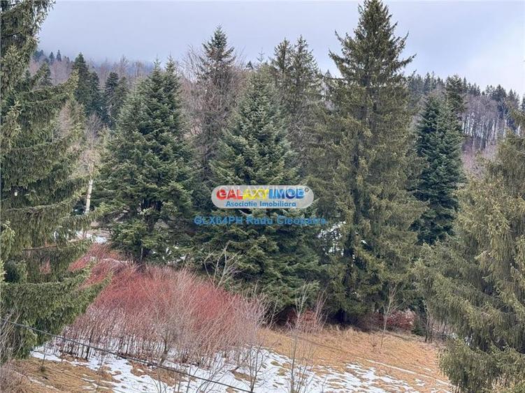 Vanzare apartament 2 camere,  Sinaia - 19