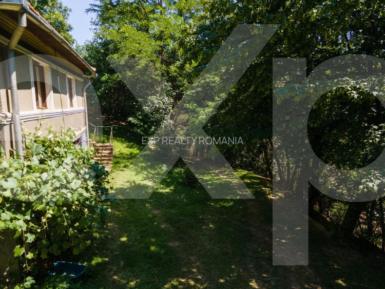 Proprietate cu potențial turistic, în zona Negreni – Bucea, jud. Cluj - 14