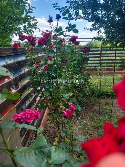 Duplex de vanzare,Domnesti - 2