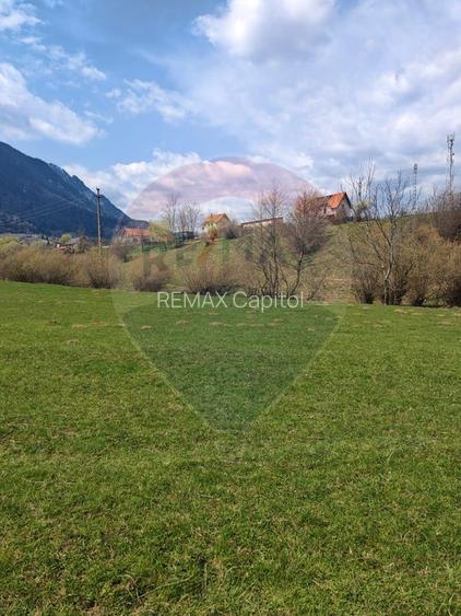 Teren 1,404mp Zarnesti / Strada FN - 7