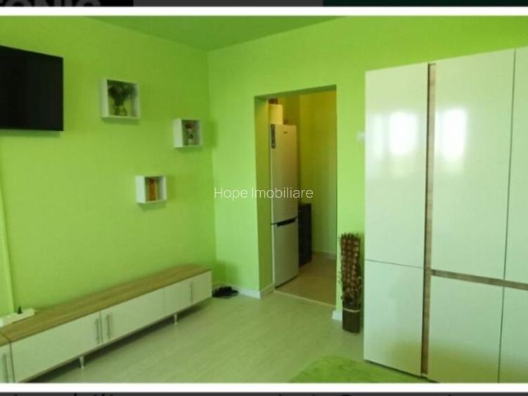 Berceni Turnu Magurele Garsoniera - 5