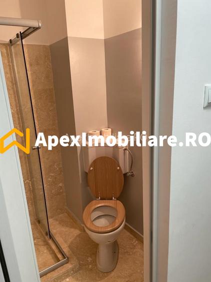 Apartament 1 camere de inchiriat Baneasa București | ApexImobiliare.ro - 4