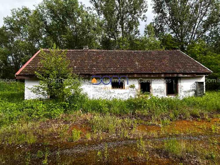 Teren industrial sau comercial 3000 mp Zagujeni - 5