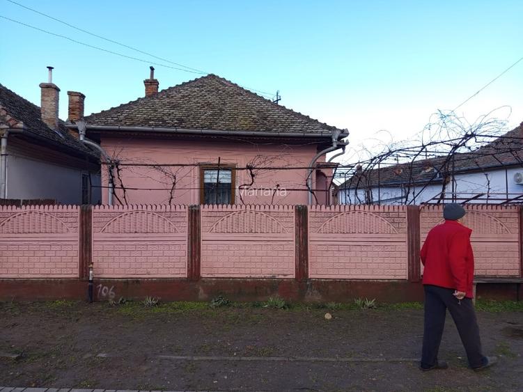 Casa la tara cu teren si gradina,beci si alte dependinte - 10