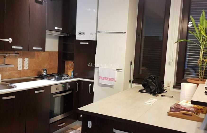 Apartament zona Garlei-Dobrogeanu Gherea cu terasa mare si curte proprie - 7