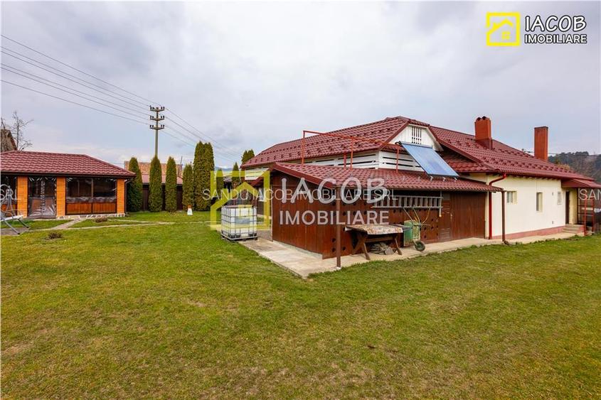 Casa, anexe, 3762 mp teren, 25000 mp padure, Comanesti, jud. Bacau - 11